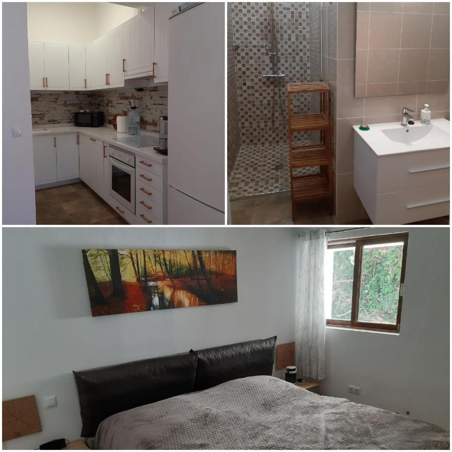 Schoene Wohnung In Puerto De La Cruz Mit Garten. Eksteriør bilde
